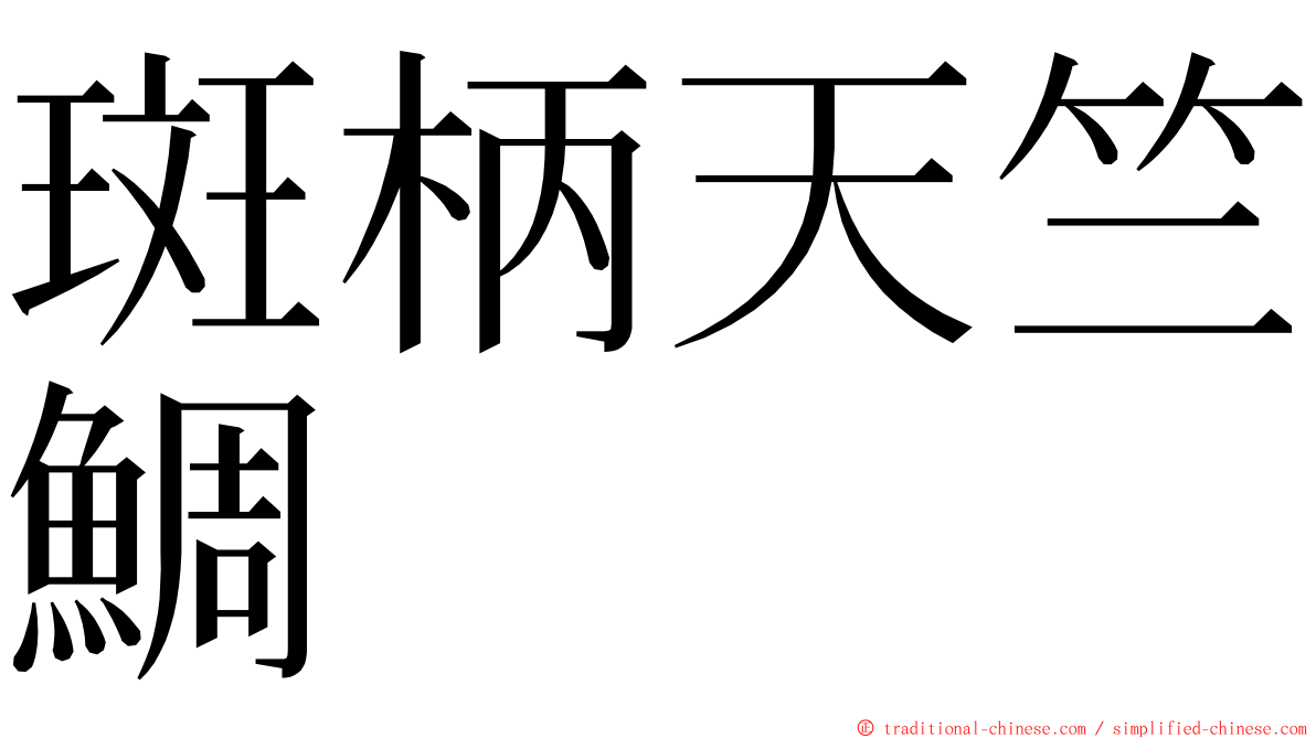 斑柄天竺鯛 ming font