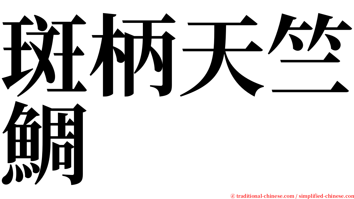 斑柄天竺鯛 serif font
