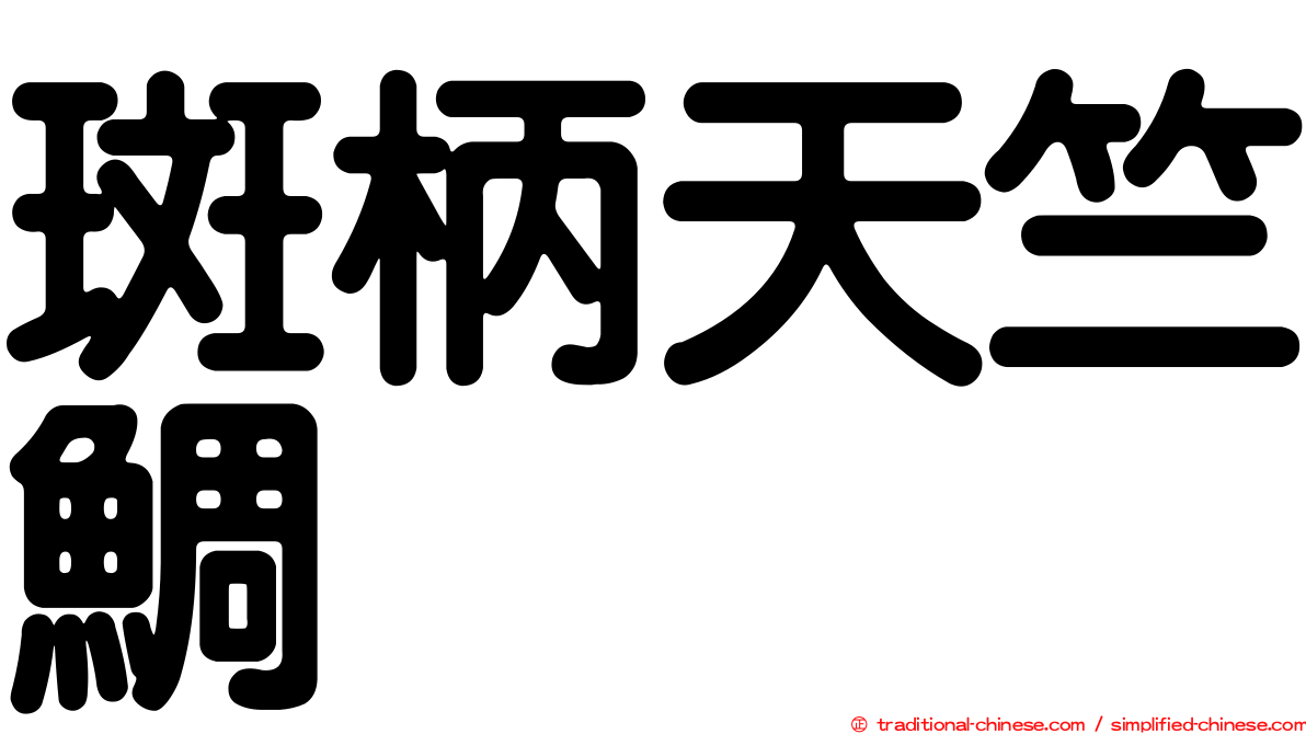 斑柄天竺鯛