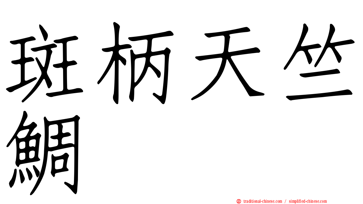 斑柄天竺鯛