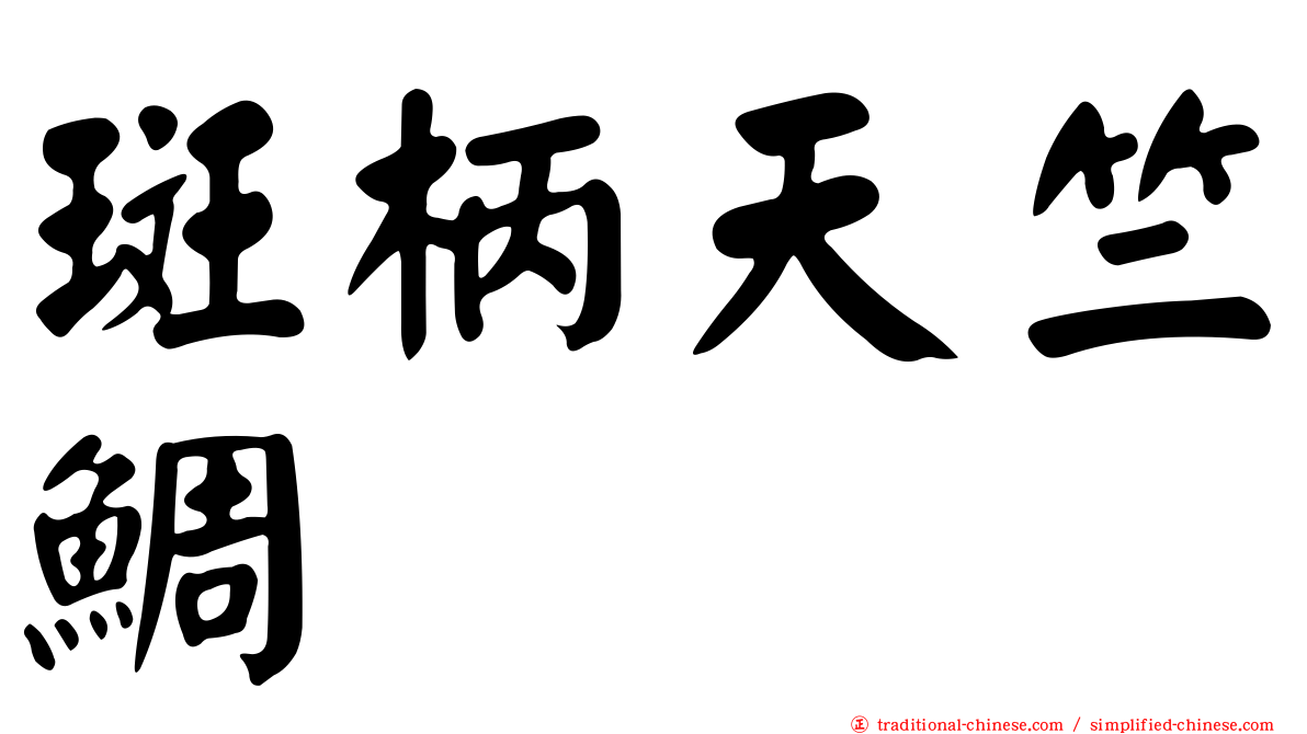 斑柄天竺鯛