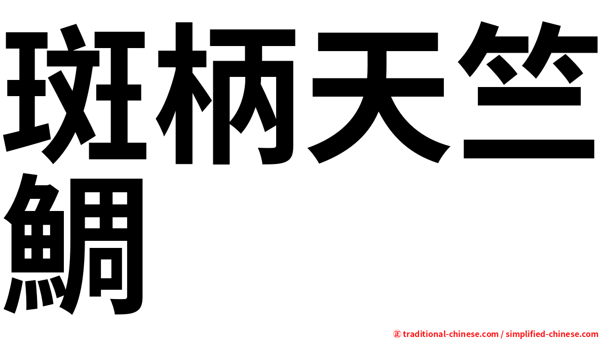 斑柄天竺鯛