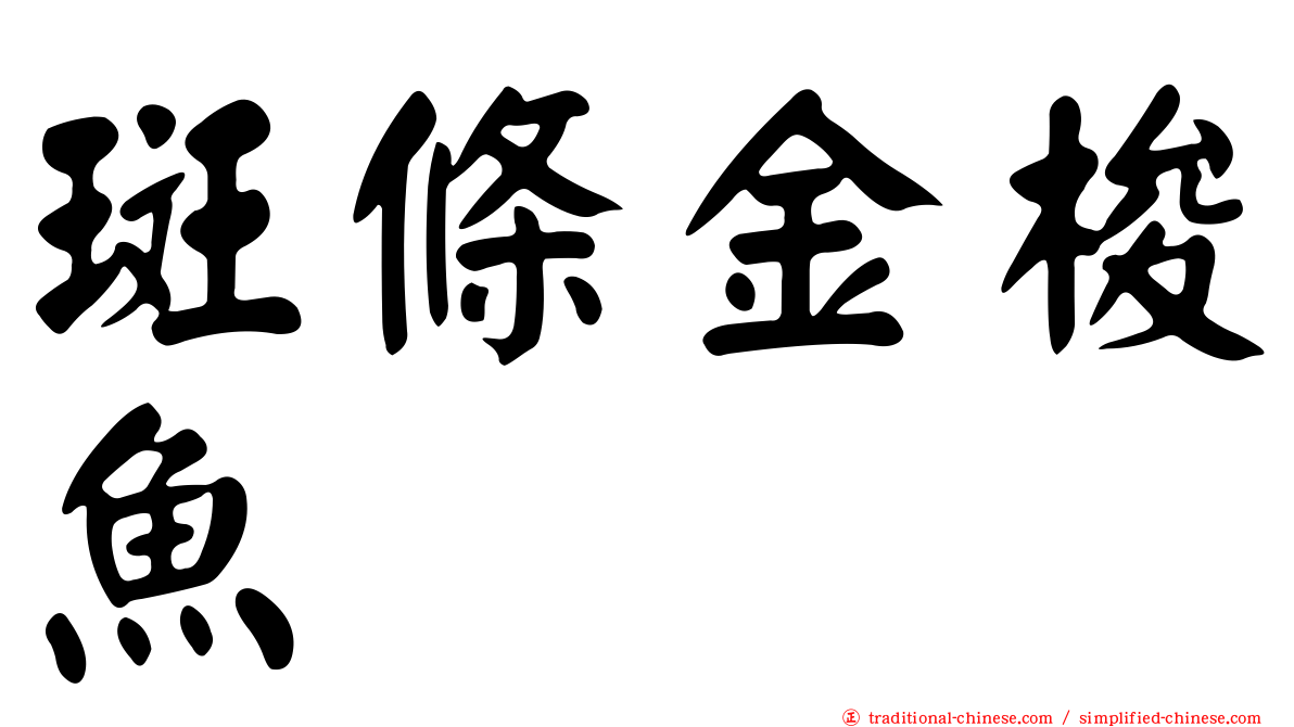 斑條金梭魚