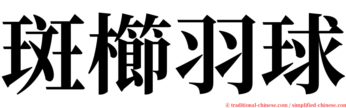 斑櫛羽球 serif font