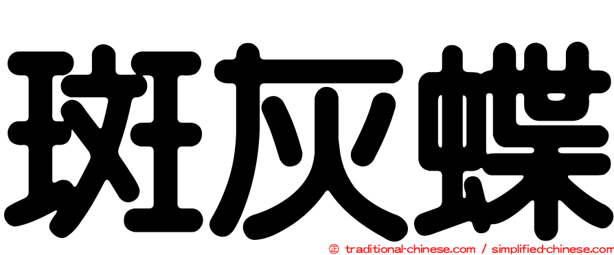 斑灰蝶
