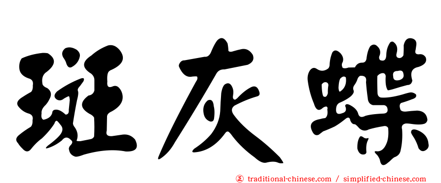 斑灰蝶