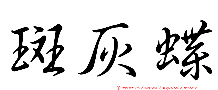 斑灰蝶