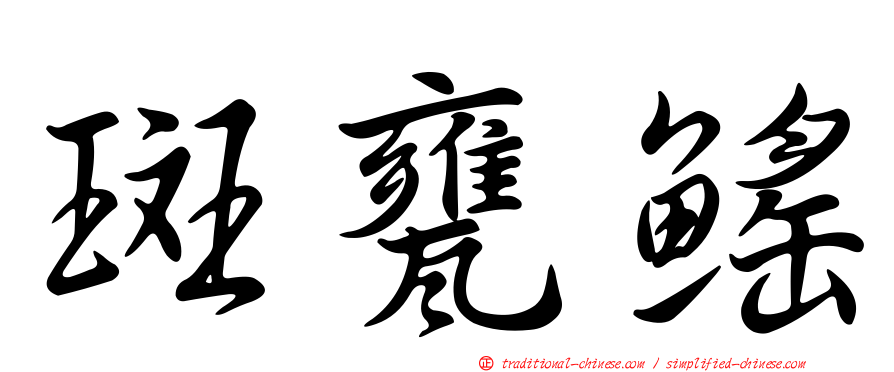 斑甕鰩