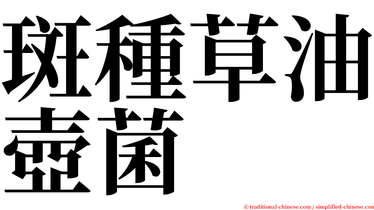 斑種草油壺菌 serif font