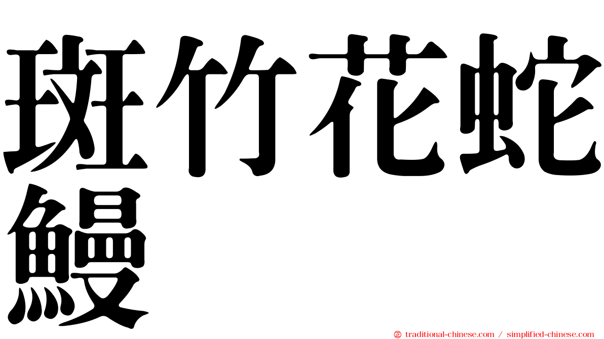 斑竹花蛇鰻