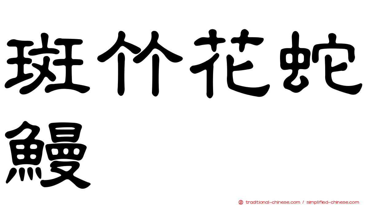 斑竹花蛇鰻