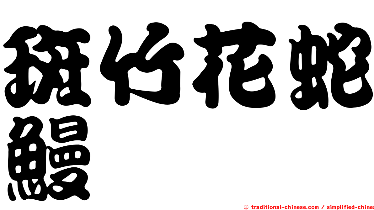 斑竹花蛇鰻