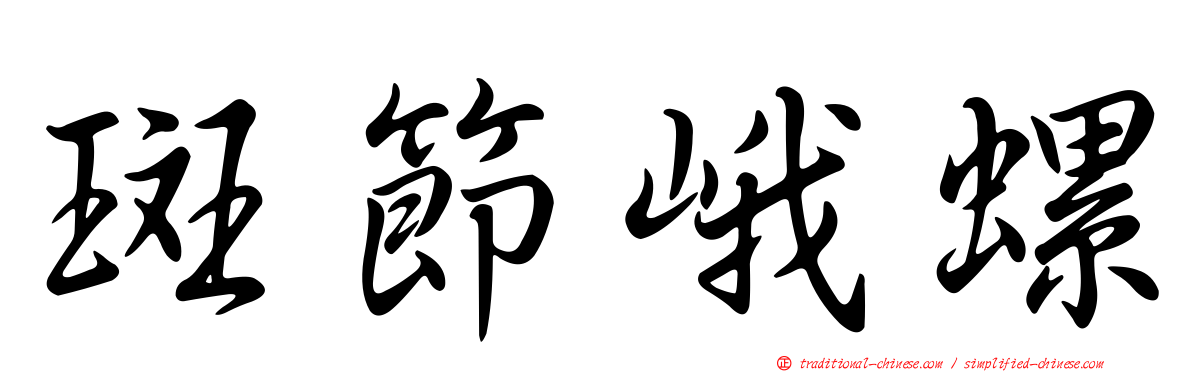 斑節峨螺