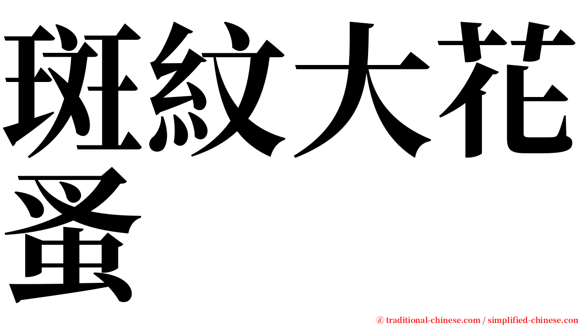 斑紋大花蚤 serif font