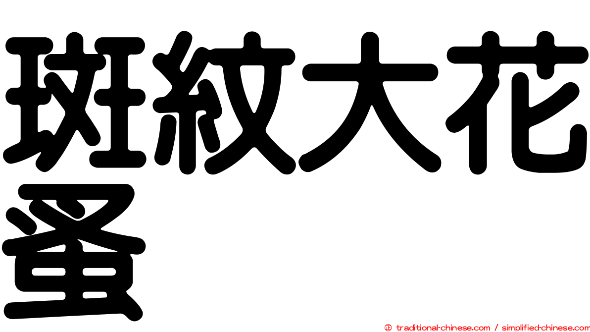 斑紋大花蚤