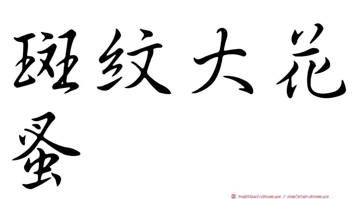斑紋大花蚤