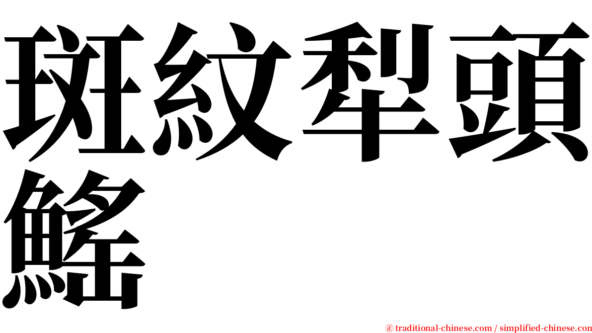 斑紋犁頭鰩 serif font