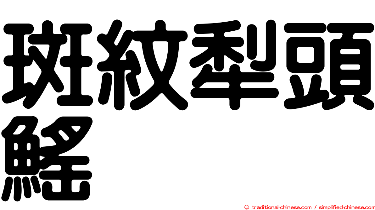 斑紋犁頭鰩