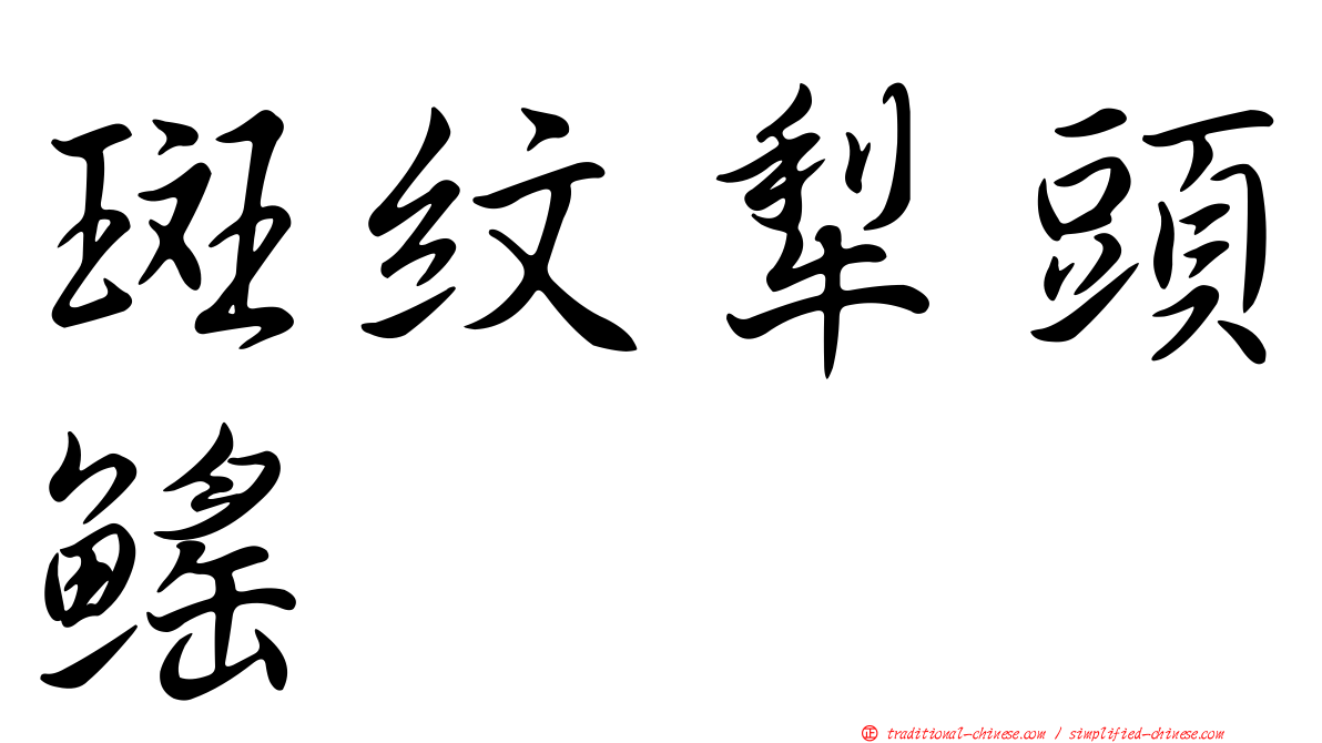 斑紋犁頭鰩