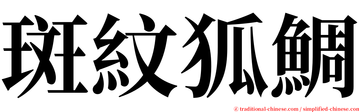 斑紋狐鯛 serif font