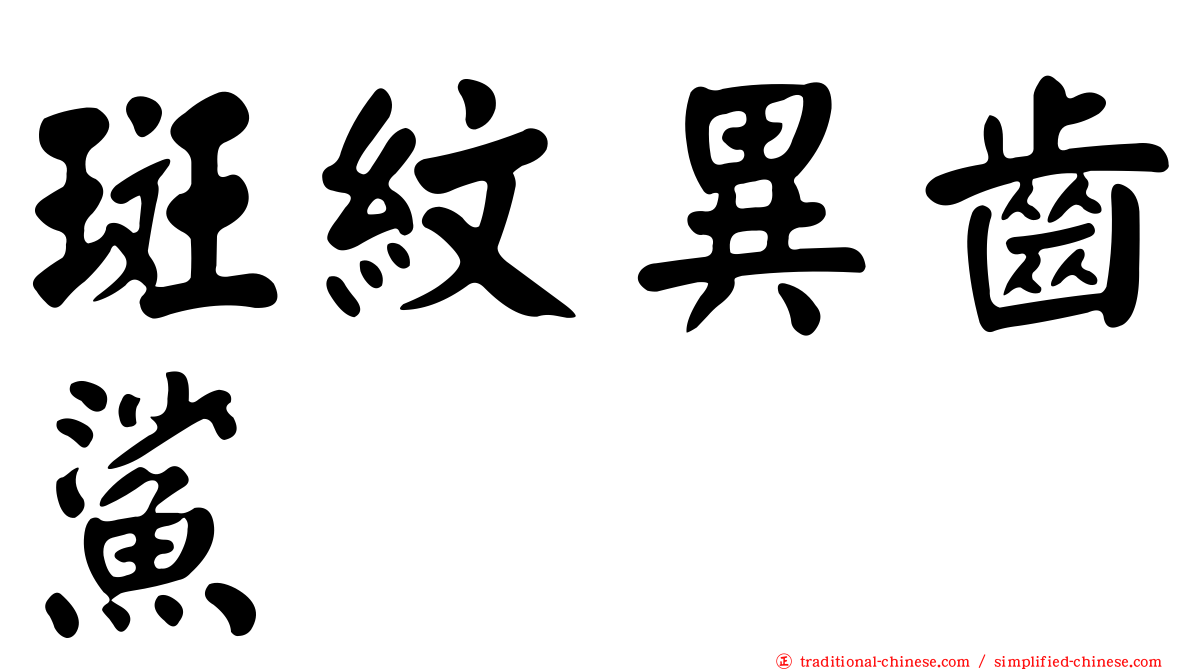 斑紋異齒鯊