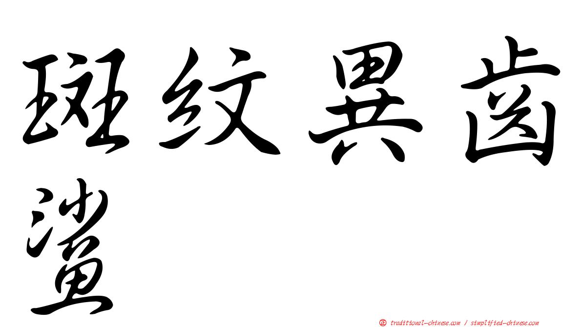 斑紋異齒鯊