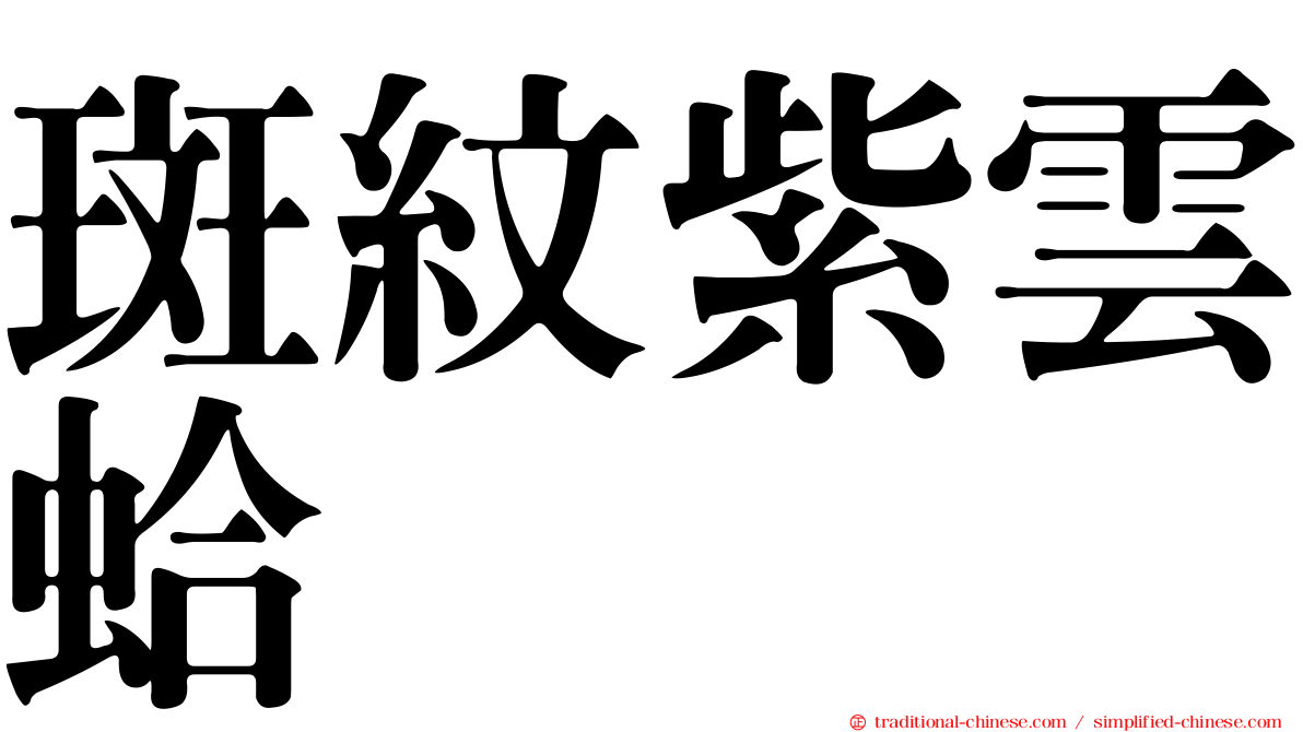 斑紋紫雲蛤