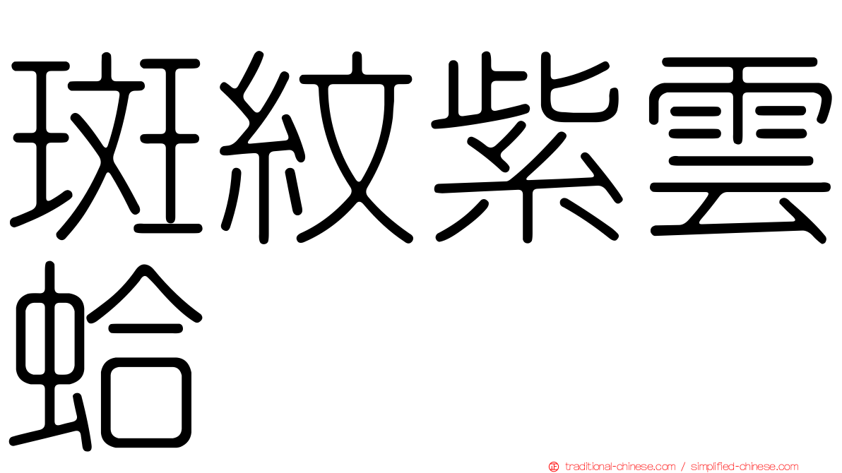 斑紋紫雲蛤