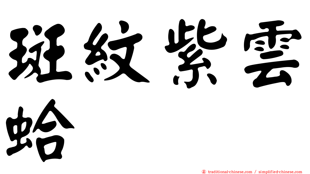 斑紋紫雲蛤