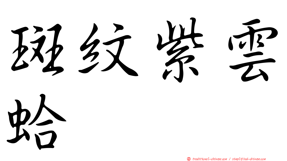 斑紋紫雲蛤
