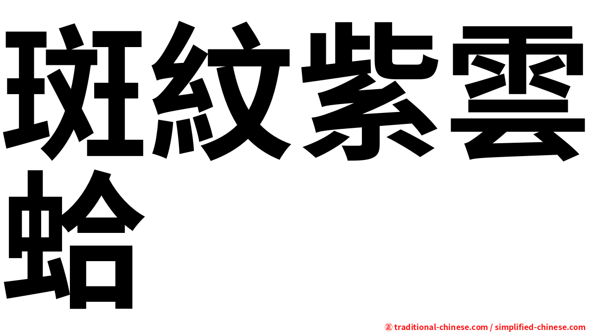 斑紋紫雲蛤