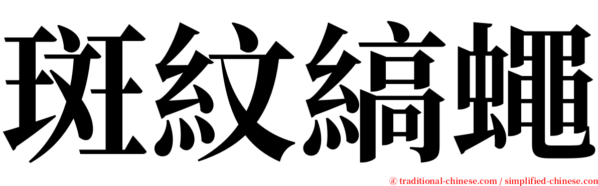 斑紋縞蠅 serif font