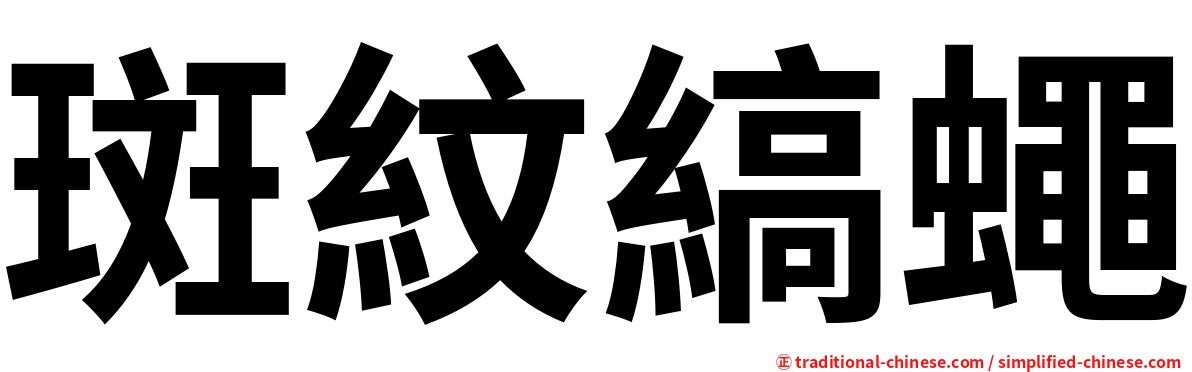 斑紋縞蠅