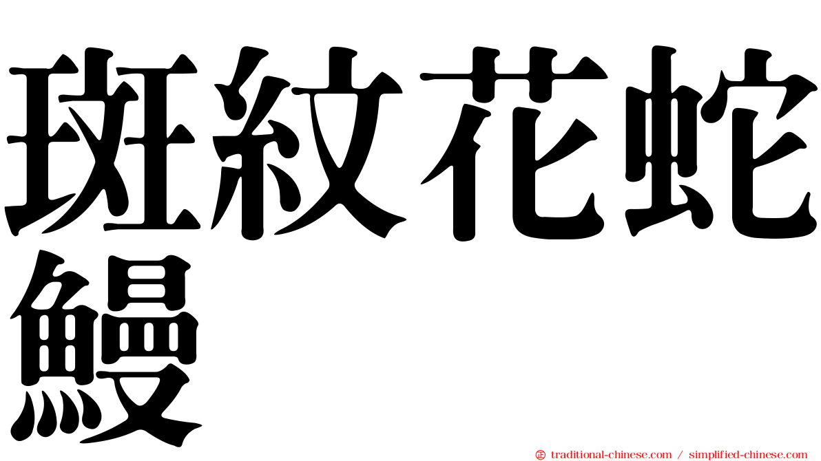 斑紋花蛇鰻