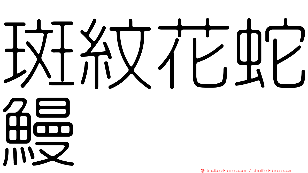 斑紋花蛇鰻