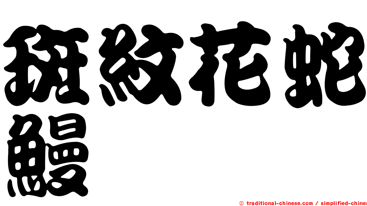 斑紋花蛇鰻