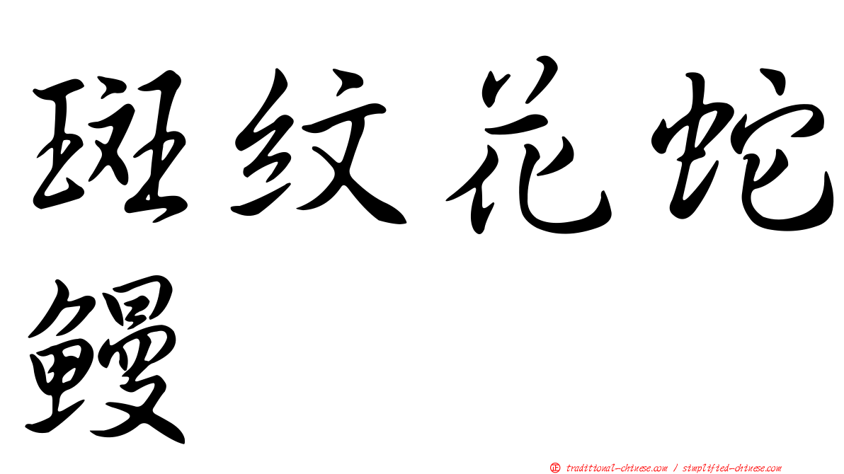 斑紋花蛇鰻