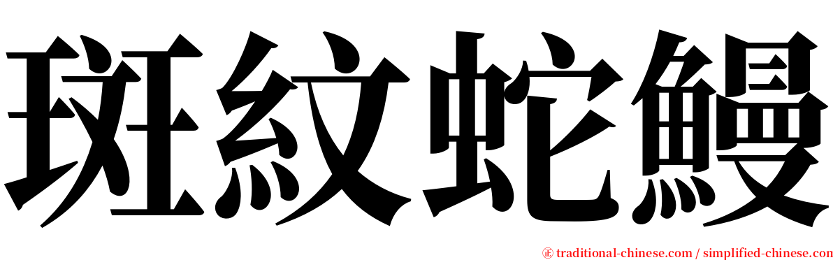 斑紋蛇鰻 serif font