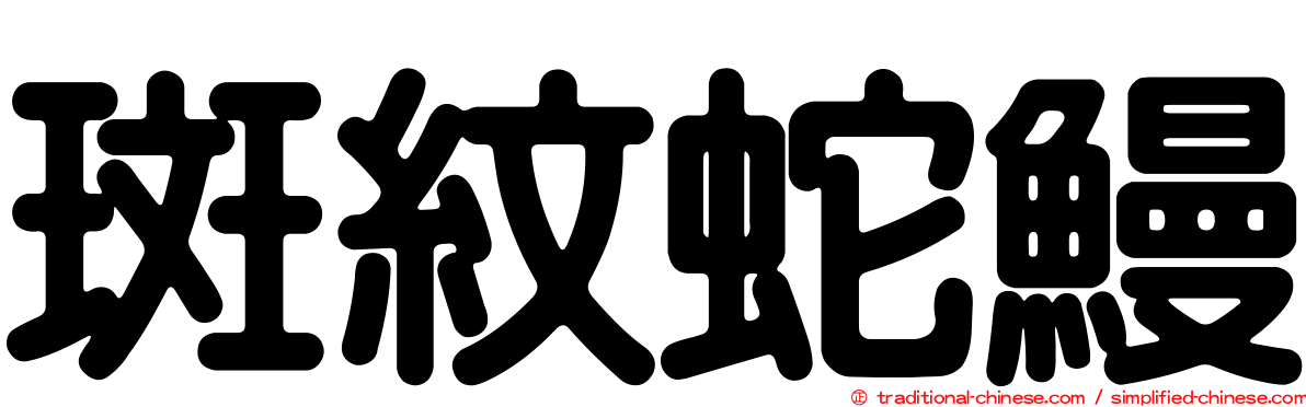 斑紋蛇鰻