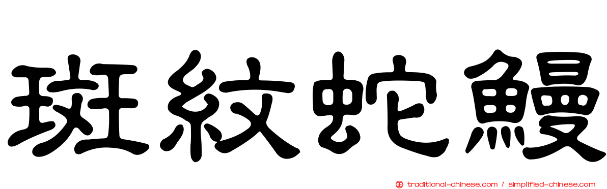 斑紋蛇鰻