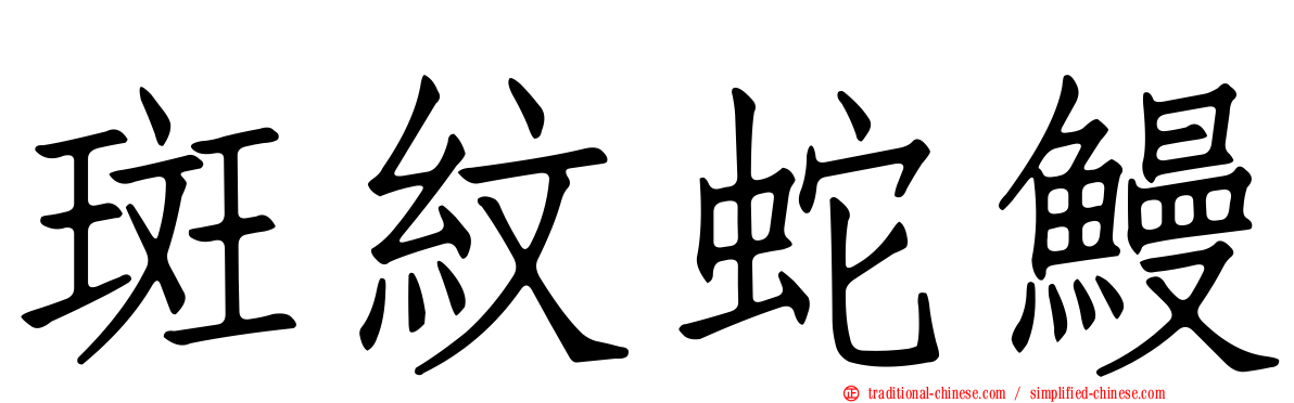 斑紋蛇鰻
