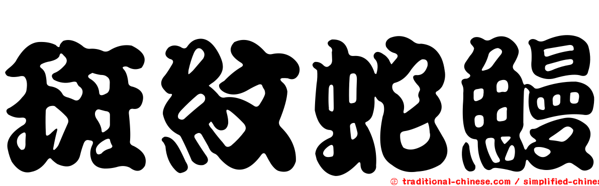 斑紋蛇鰻