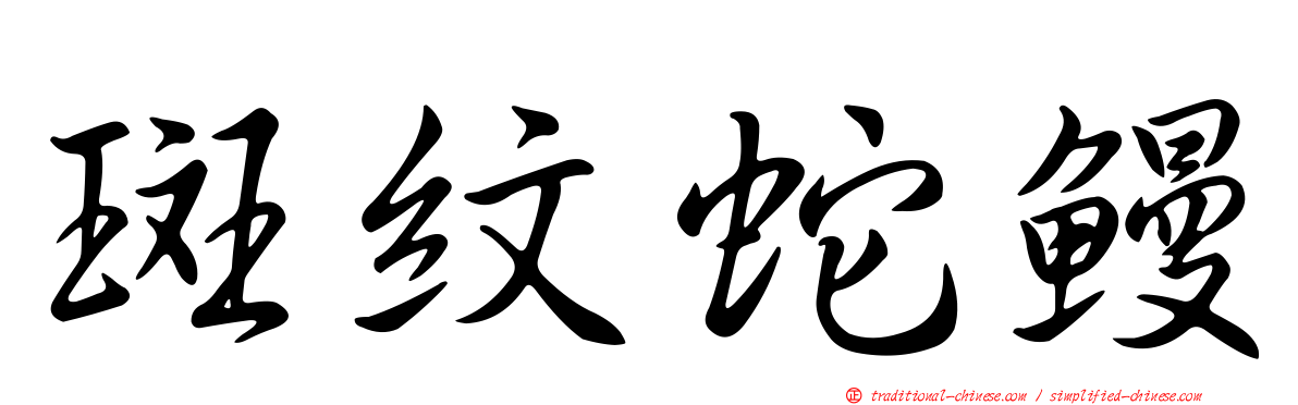 斑紋蛇鰻