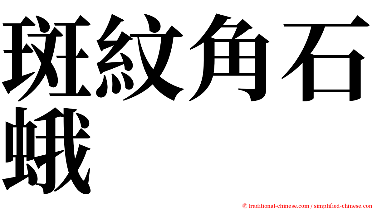斑紋角石蛾 serif font
