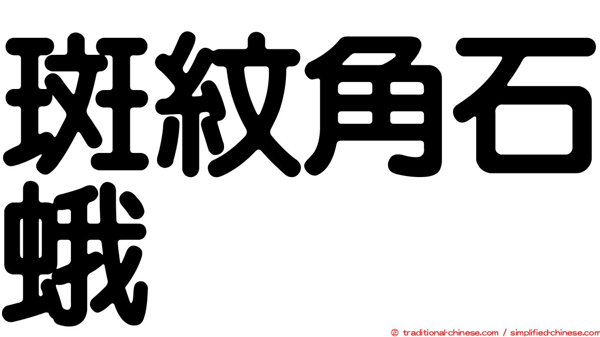 斑紋角石蛾