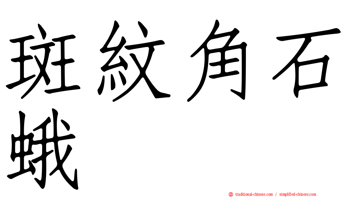 斑紋角石蛾