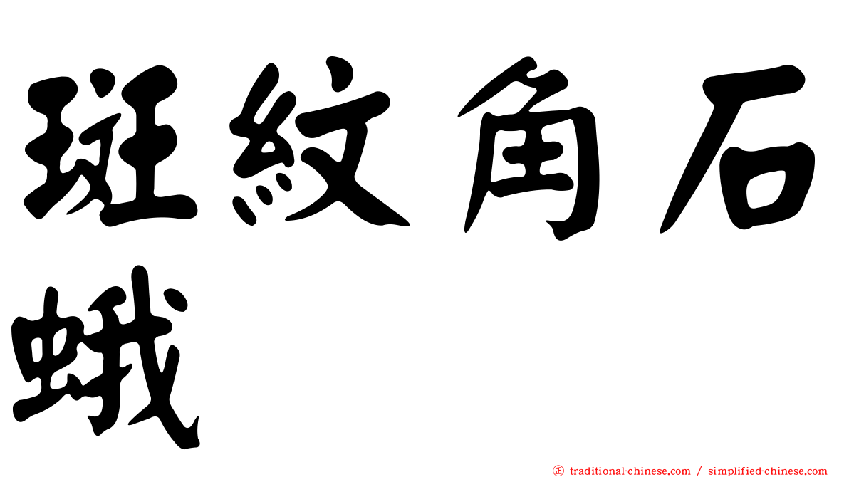 斑紋角石蛾