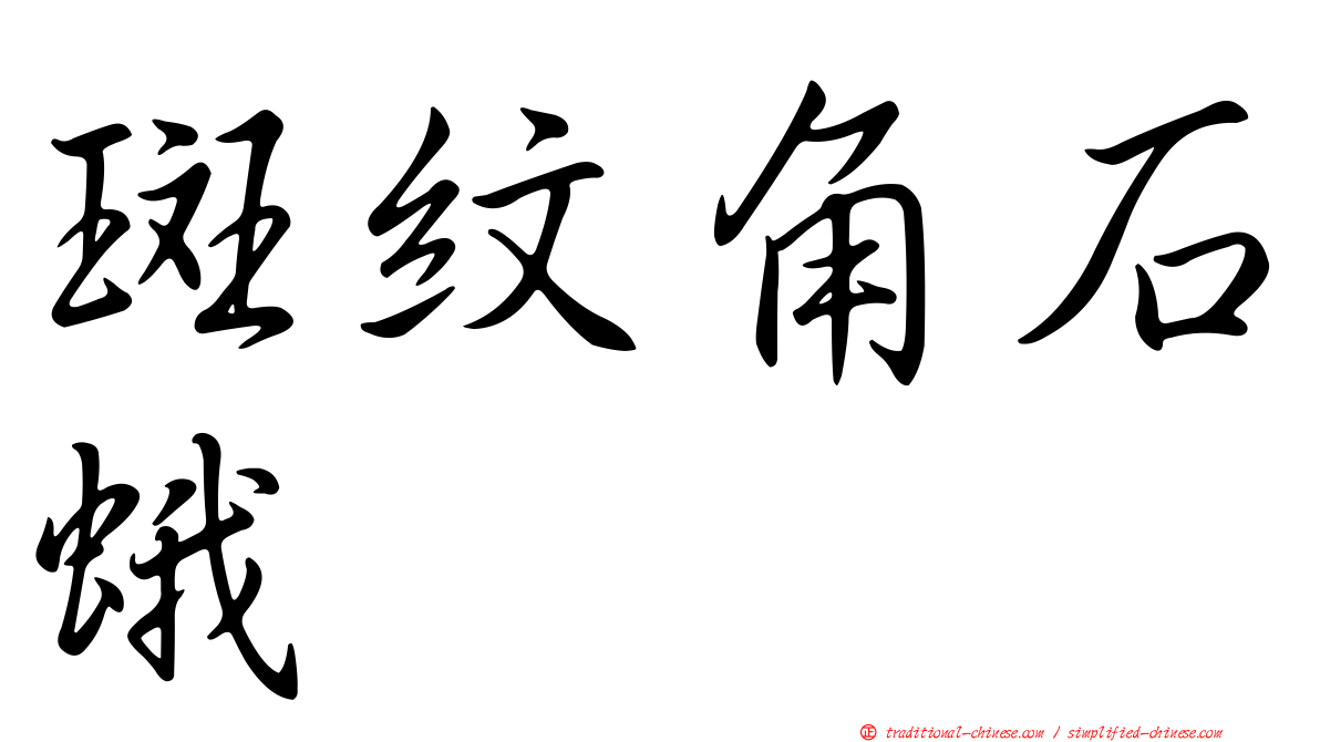 斑紋角石蛾