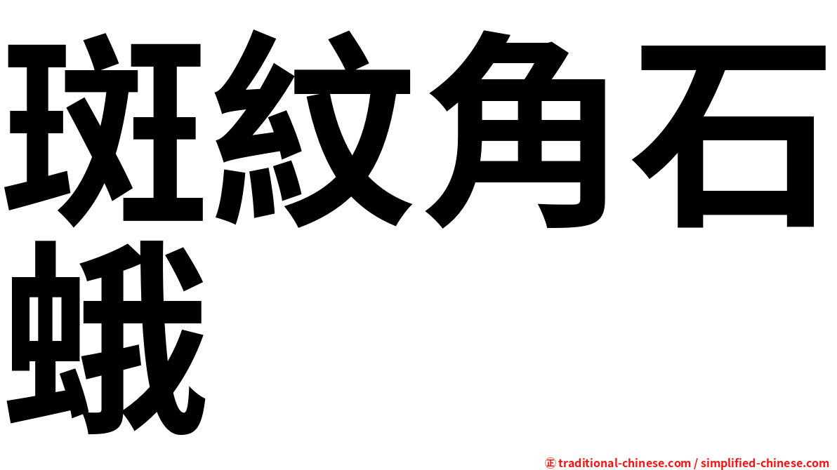 斑紋角石蛾