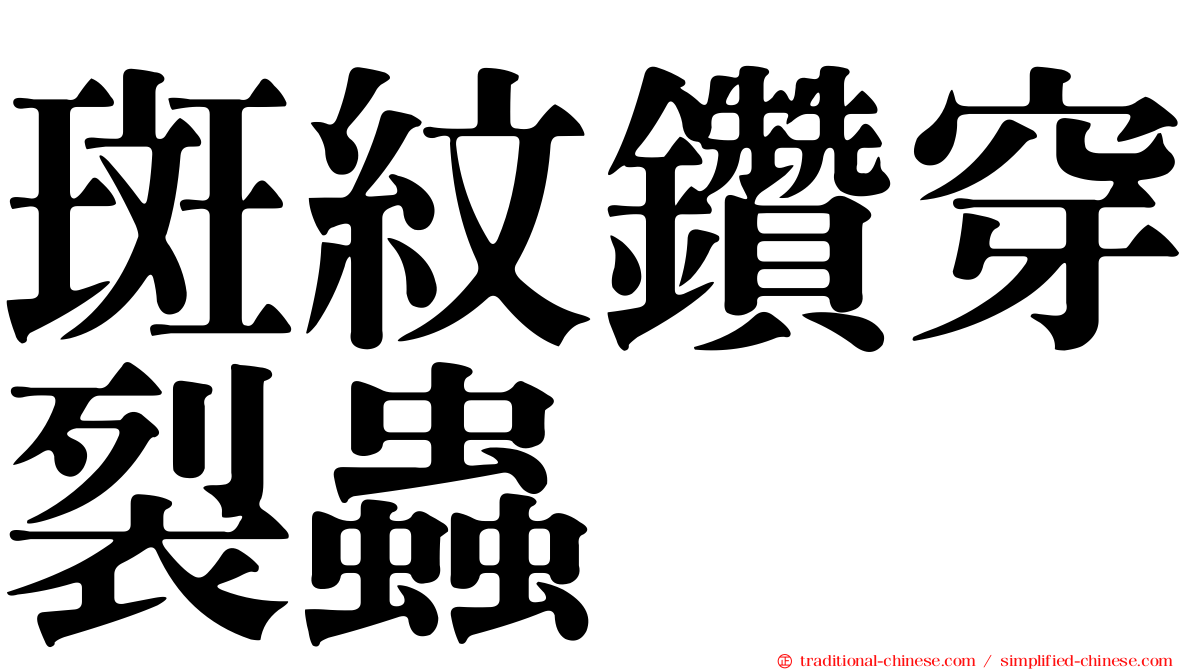 斑紋鑽穿裂蟲
